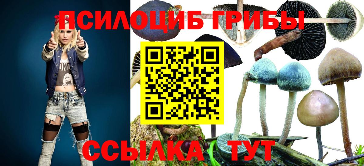 Псилоцибиновые грибы Magic Shrooms Кириши