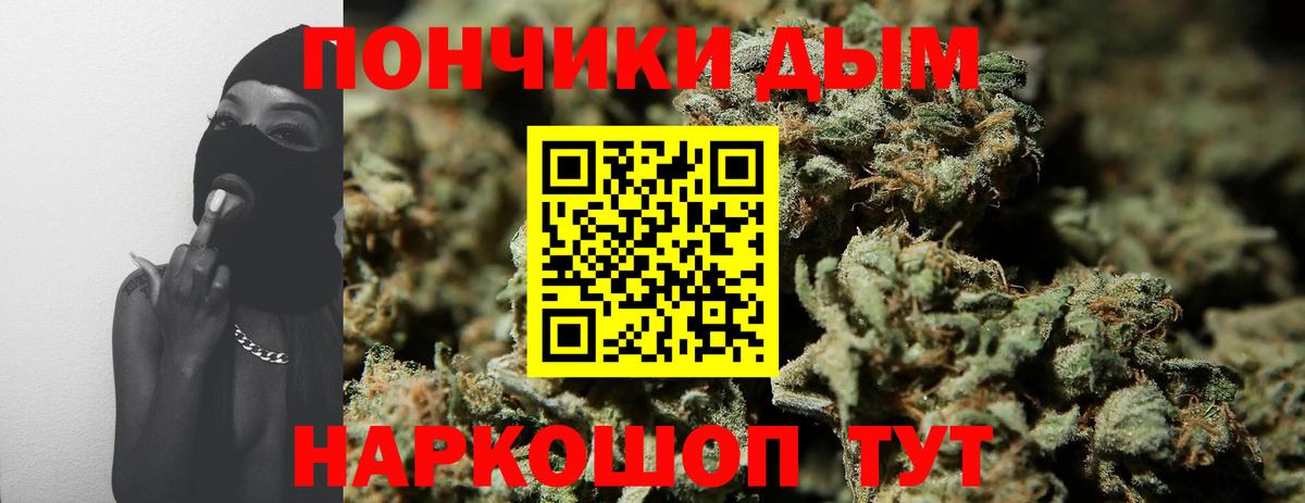 Шишки марихуана тримм  Вход с VPN  Кириши  Шишки марихуана SATIVA & INDICA  МАРИХУАНА сатива 